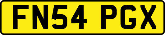 FN54PGX