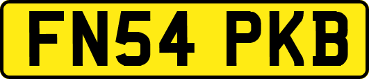 FN54PKB