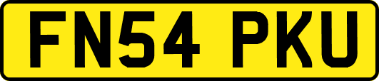 FN54PKU