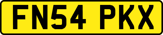 FN54PKX