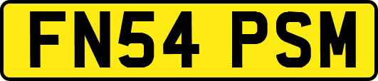 FN54PSM