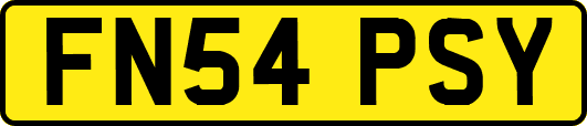 FN54PSY