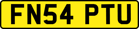 FN54PTU