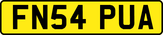 FN54PUA