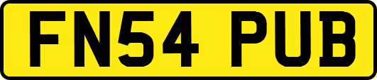 FN54PUB