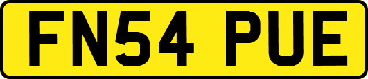 FN54PUE