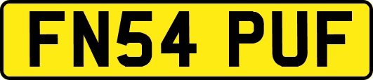 FN54PUF
