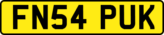 FN54PUK