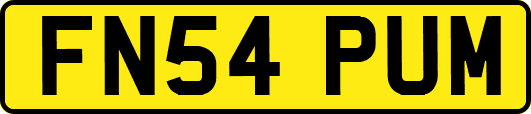FN54PUM