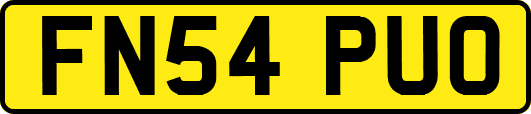 FN54PUO
