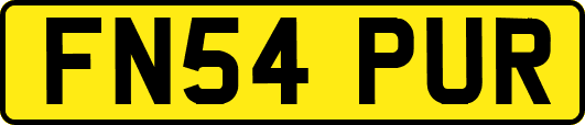 FN54PUR