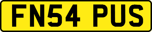FN54PUS