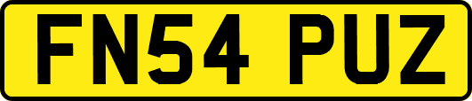 FN54PUZ