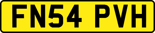 FN54PVH