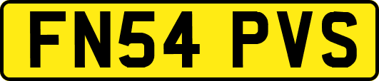 FN54PVS