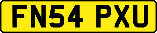 FN54PXU