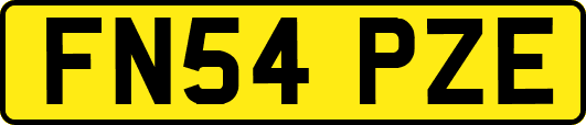 FN54PZE