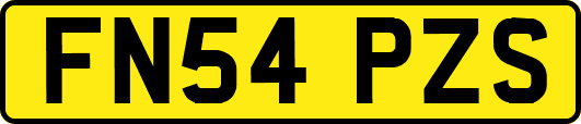 FN54PZS