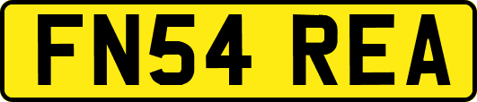 FN54REA