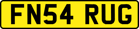 FN54RUG