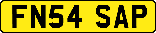 FN54SAP