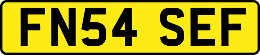 FN54SEF