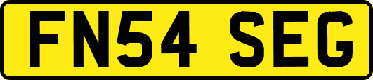 FN54SEG