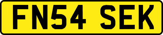 FN54SEK