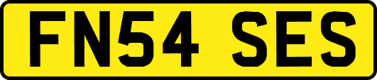 FN54SES