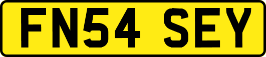 FN54SEY