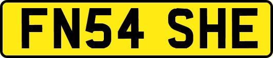 FN54SHE