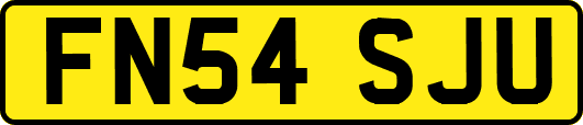 FN54SJU
