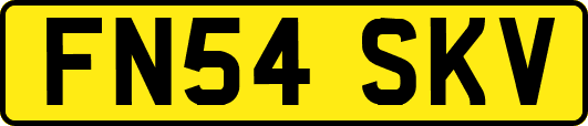 FN54SKV