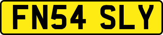 FN54SLY