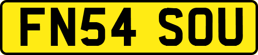 FN54SOU