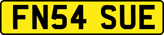 FN54SUE