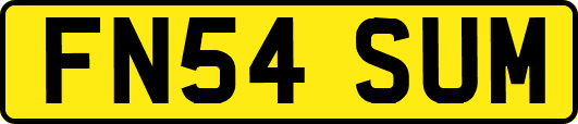 FN54SUM