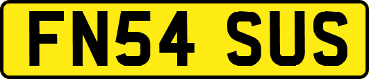FN54SUS
