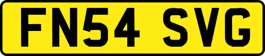 FN54SVG
