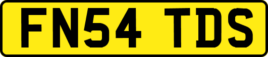 FN54TDS
