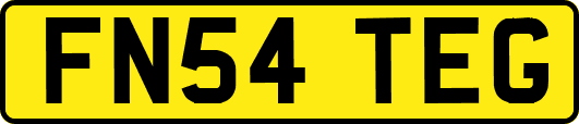 FN54TEG