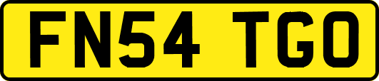 FN54TGO