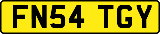 FN54TGY