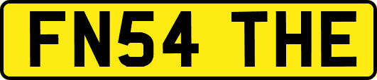 FN54THE