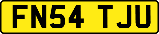 FN54TJU
