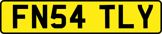 FN54TLY