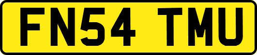 FN54TMU