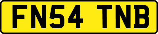 FN54TNB