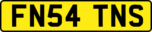 FN54TNS