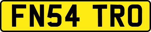 FN54TRO